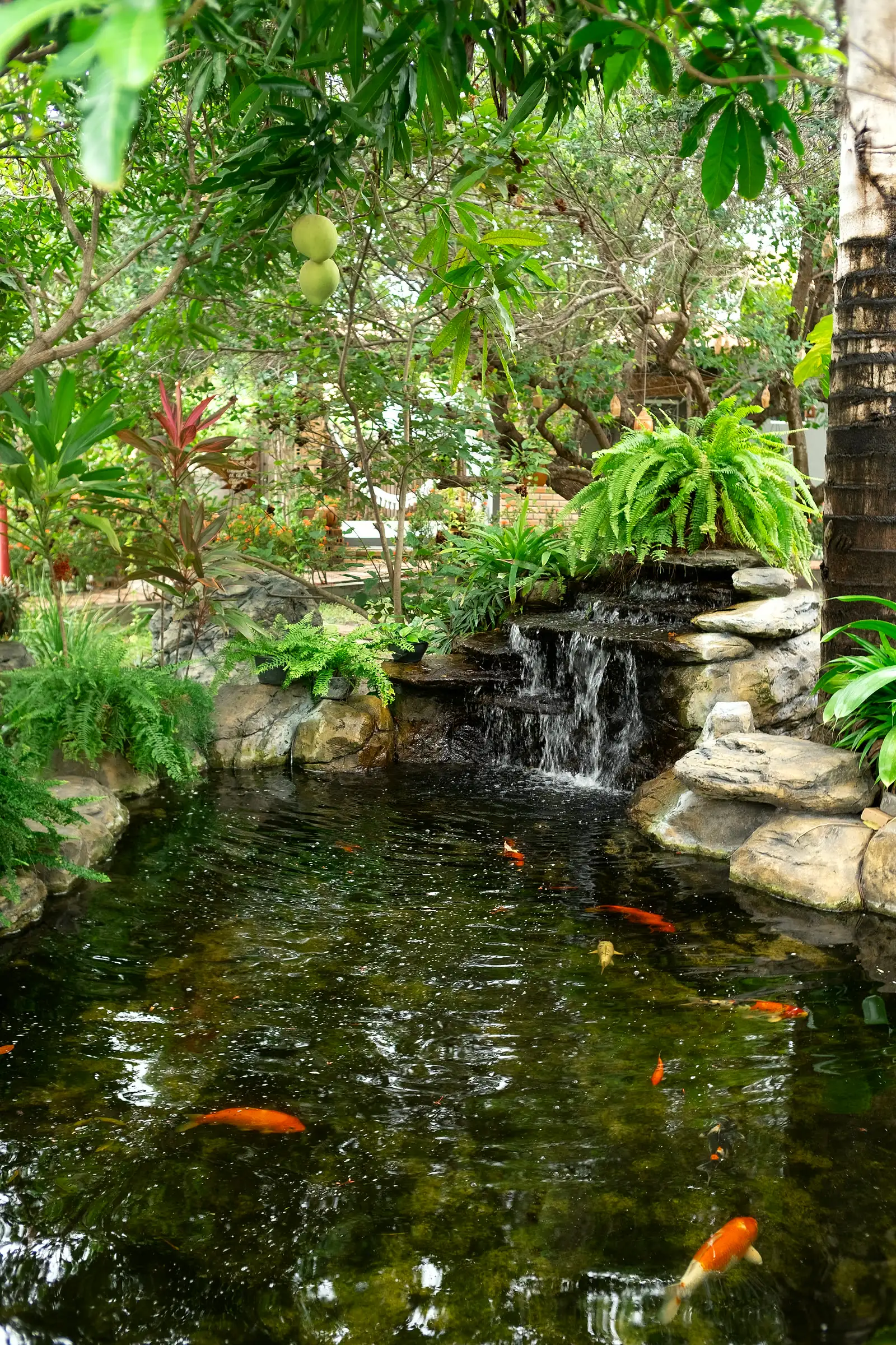 Jardins e espaço externo do Rancho das Dunas